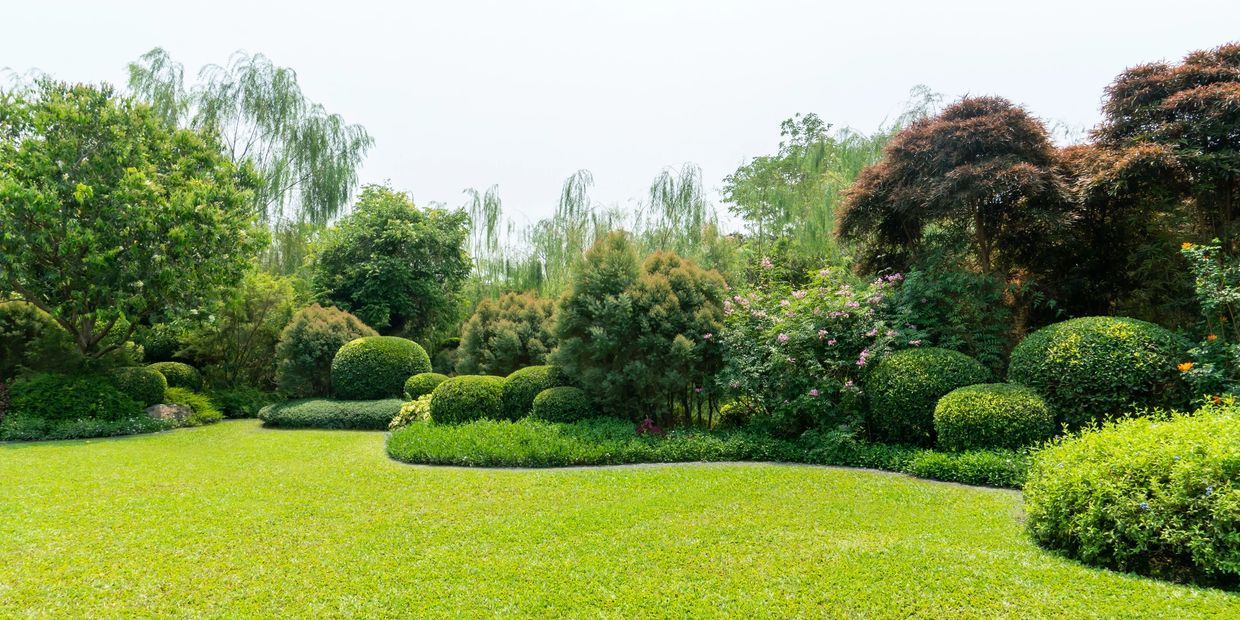 Well-manicured garden with lush green grass and various shaped bushes.