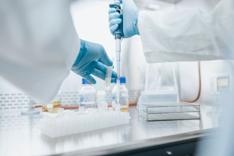 Photos taken in the biotechnology laboratory focused on addressing global challenges of biosustainability, including sustainable production of food and feed, but also biochemicals and materials.