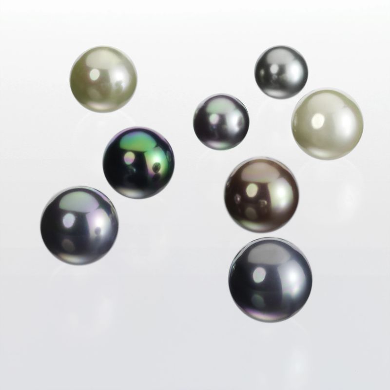 Different Tahiti Pearls on White background