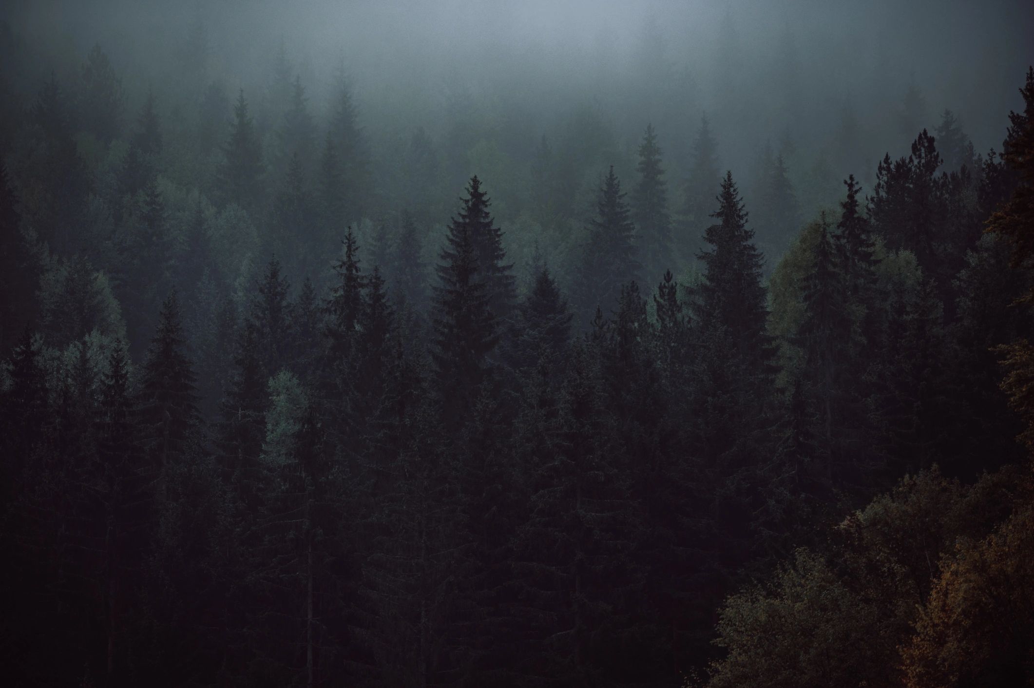 Rally Point Ventures