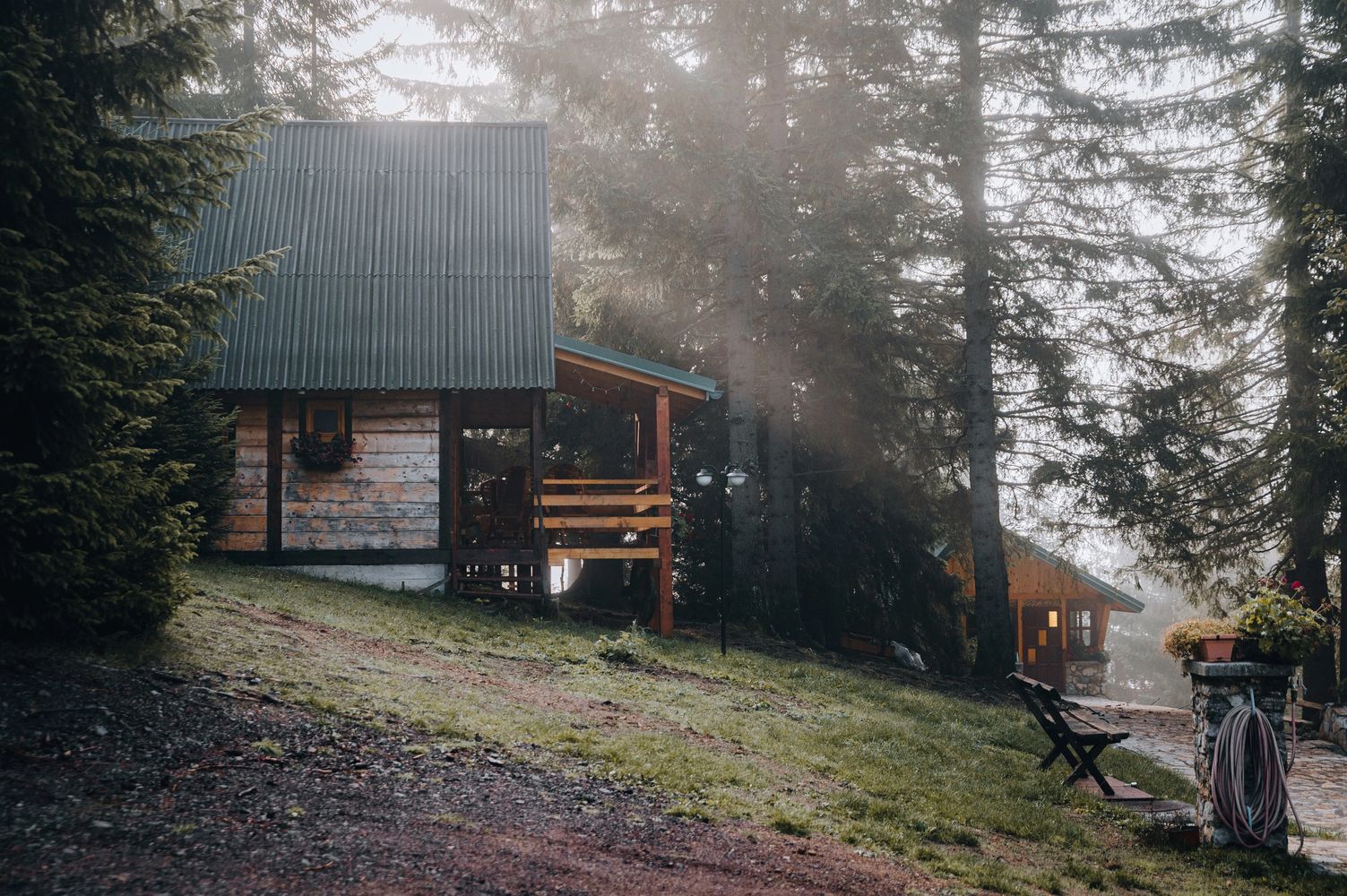 Cozy wooden cabin in a misty forest with sunlight filtering through tall trees.