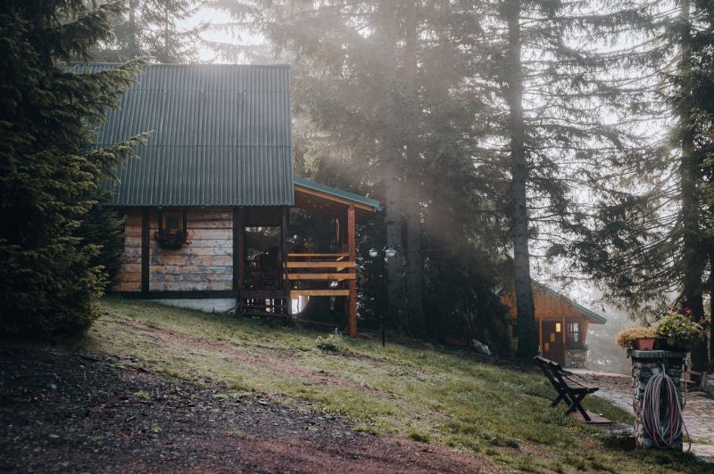 Mountain cottage in the forest in the morning. The sun's rays make their way through the branches and fog over a wooden house with a cute dog in front.