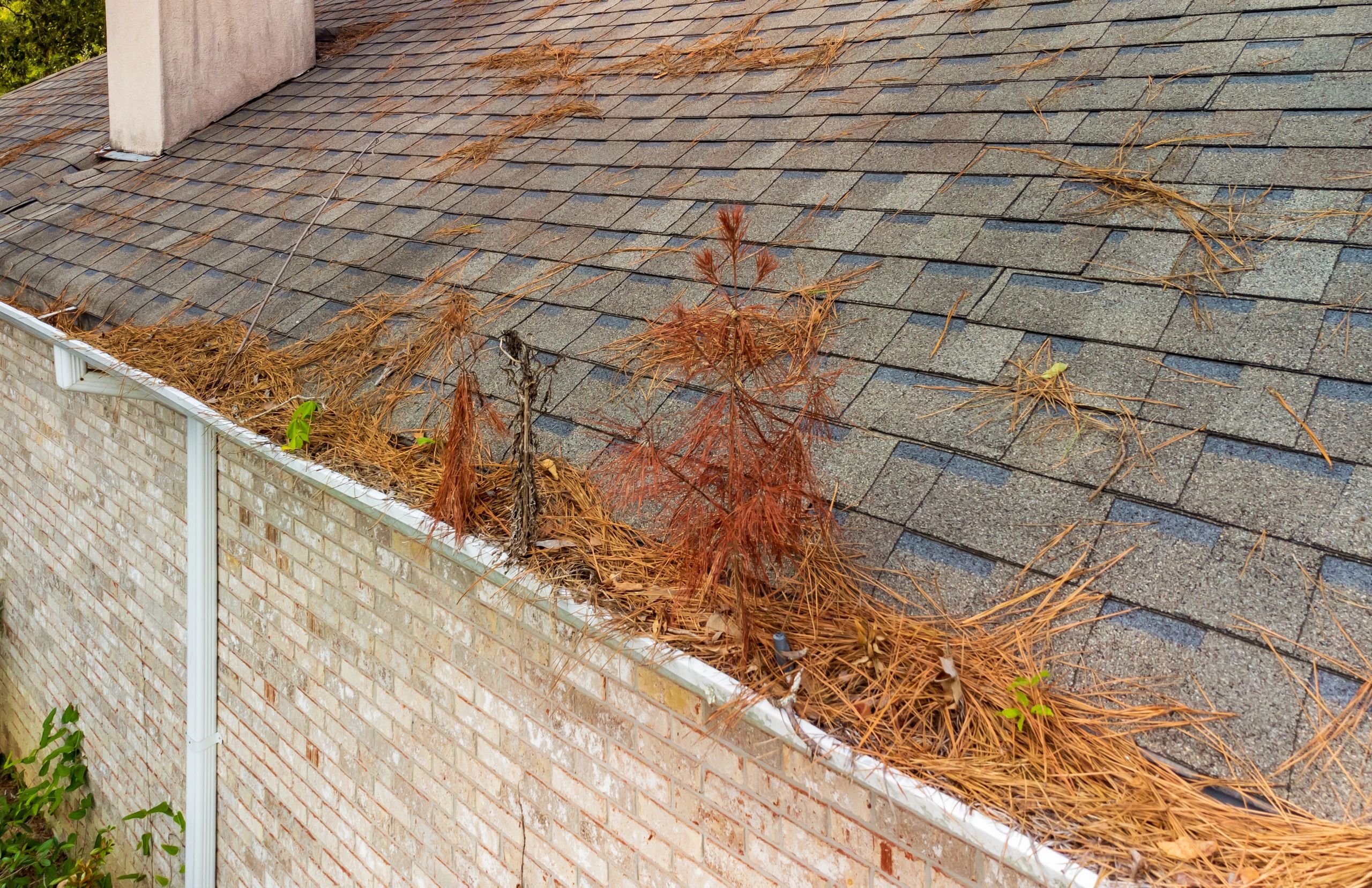 Before and after gutter cleaning. Get your gutters flowing again with Maine Flow Tech.