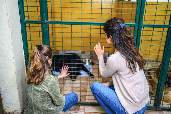 Two women interacting with a black dog in a kennel cage.