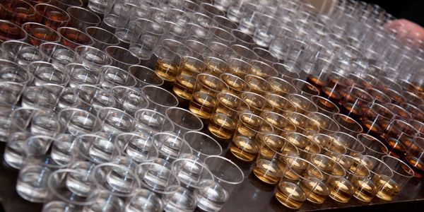 samples of liquor ready to be served to guests