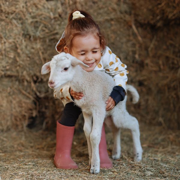 A young girl happily hugging a baby lamb in a barn.
