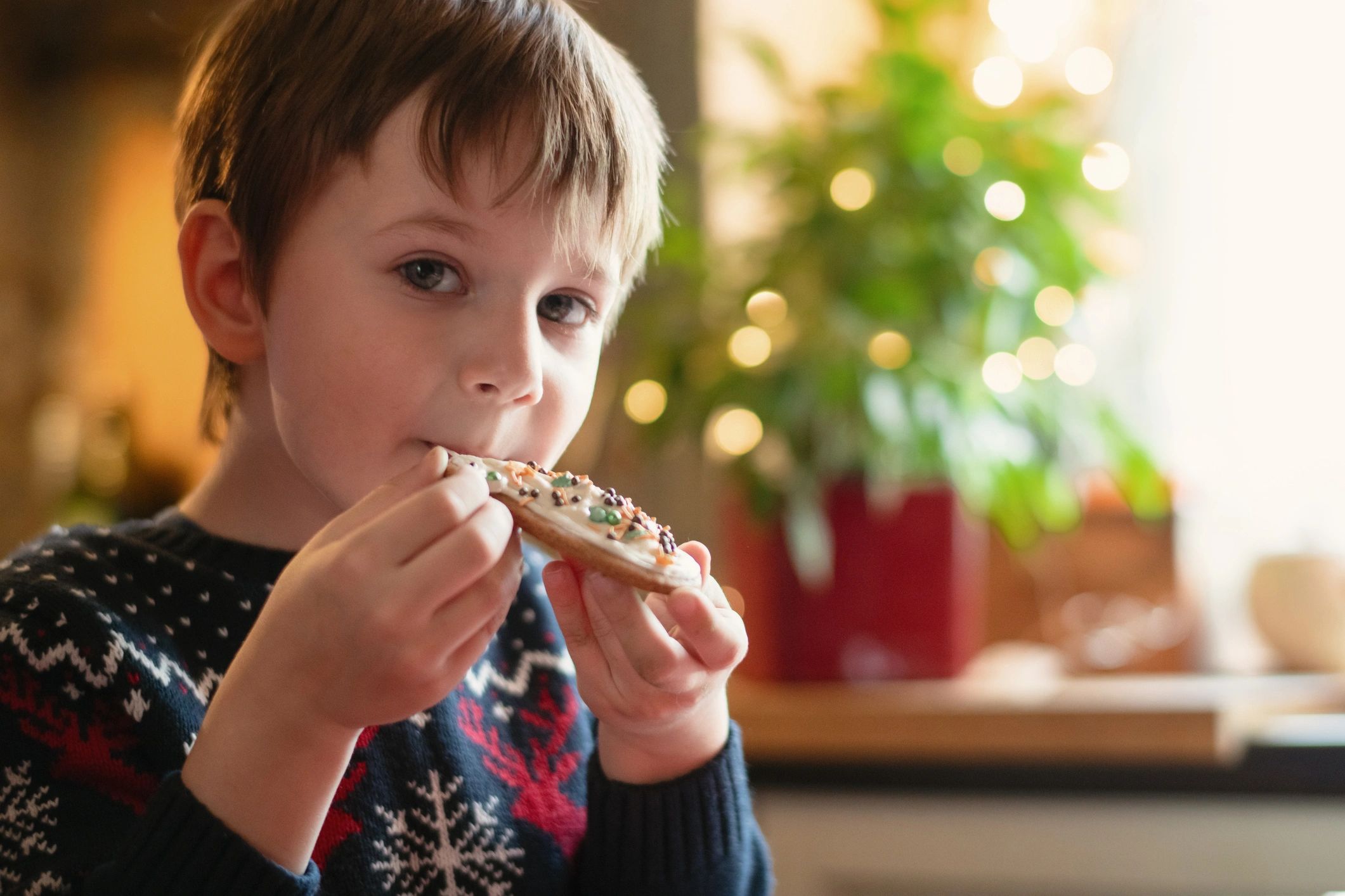 Boy eating custom cookie