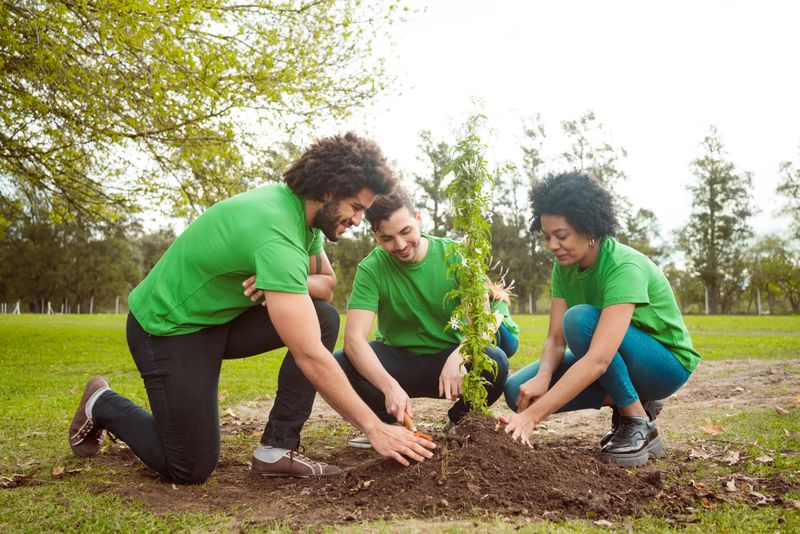 Male and female volunteers planting in park. Multiracial people are volunteering for environmental cleanup. They are wearing green t-shirts.
