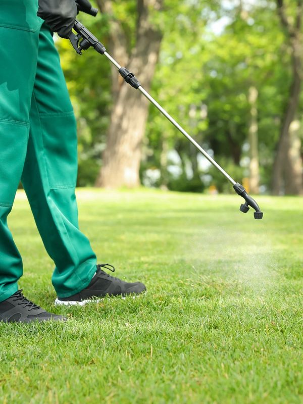 A pest technician is treating front lawn
