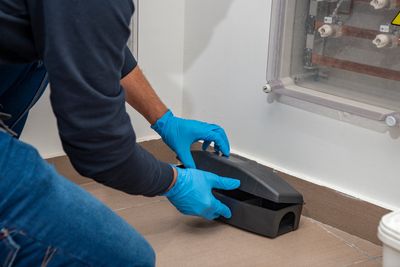 pest control, rodent control, vermin control, cleaning, clean, effective pest control, derbyshire