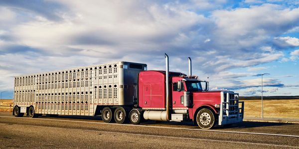 Our mission is to provide seamless transportation solutions that keep your business moving forward. 