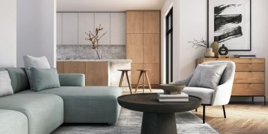 Modern living room with gray sofa and armchair.