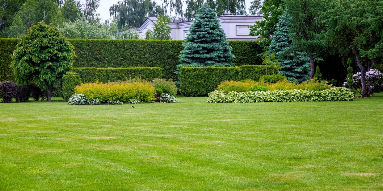 Precision Mowing Company
lawn mowing Brisbane
Lawn mowing services Brisbane