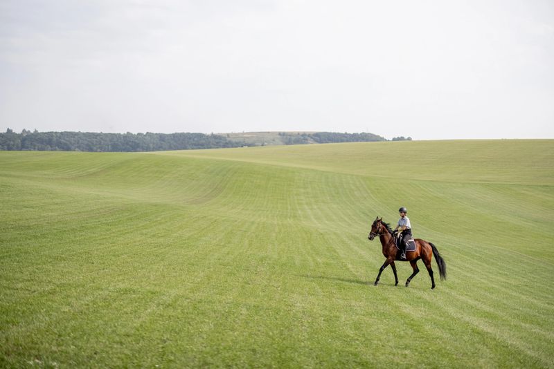 Side view of female horseman riding brown Thoroughbred horse on green meadow in countryside. Concept of rural resting and leisure. Idea of green tourism. Beautiful green landscape on sunny day