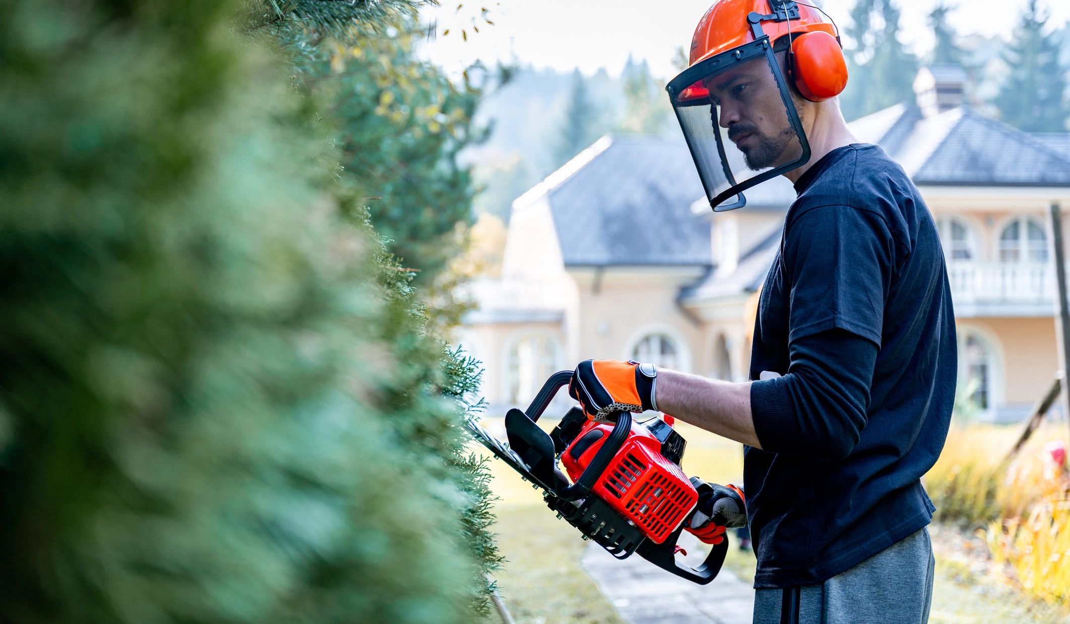 Snow Wrangler photo 2