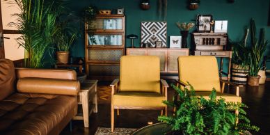 Cozy living room with plants and vintage furniture.