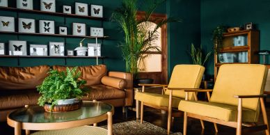Stylish living room with leather sofa and butterfly décor.
