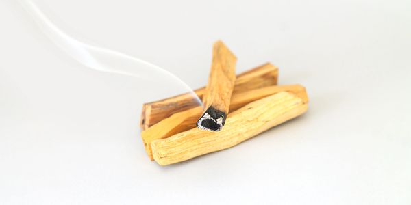Burning palo santo sticks emitting smoke on white background.