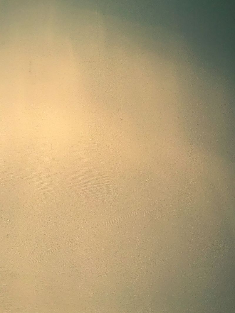 A bright wall as texture or background.