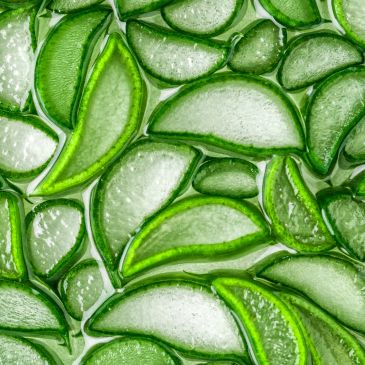 Close-up of sliced aloe vera gel pieces.