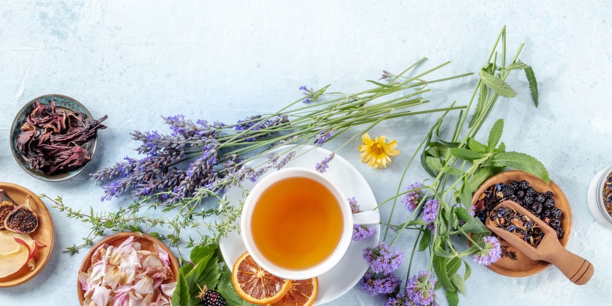 A cup of herbal tea surrounded by dried flowers, herbs, and citrus slices on a light blue surface.