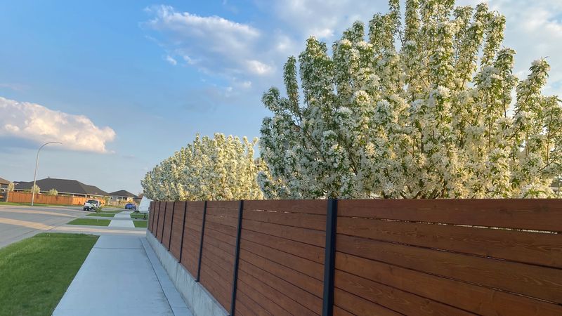 Cedar fence with concrete foundation