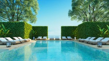 Tropical Escape Feel