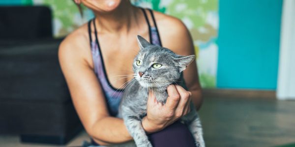 Smiling woman holding a gray cat indoors.