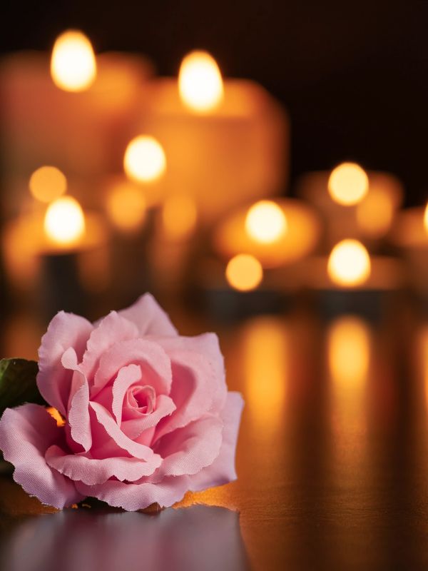 Pink rose with lit candles in the background.