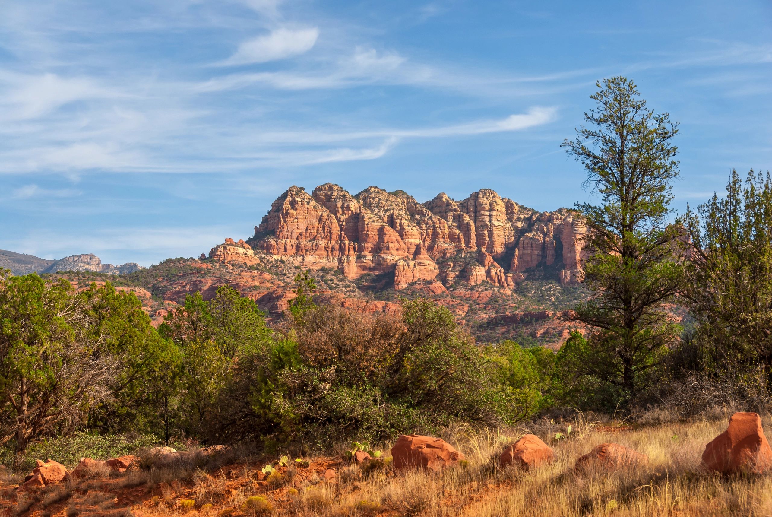 Red rock mountains with green trees under a blue sky.