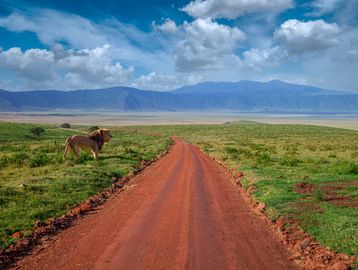 Ngorongoro Crater with Yao Tanzania Safaris
