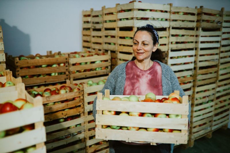 Woman sorting crates of apples ready for distribution
