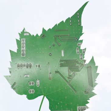A green leaf with embedded electronic circuit patterns.