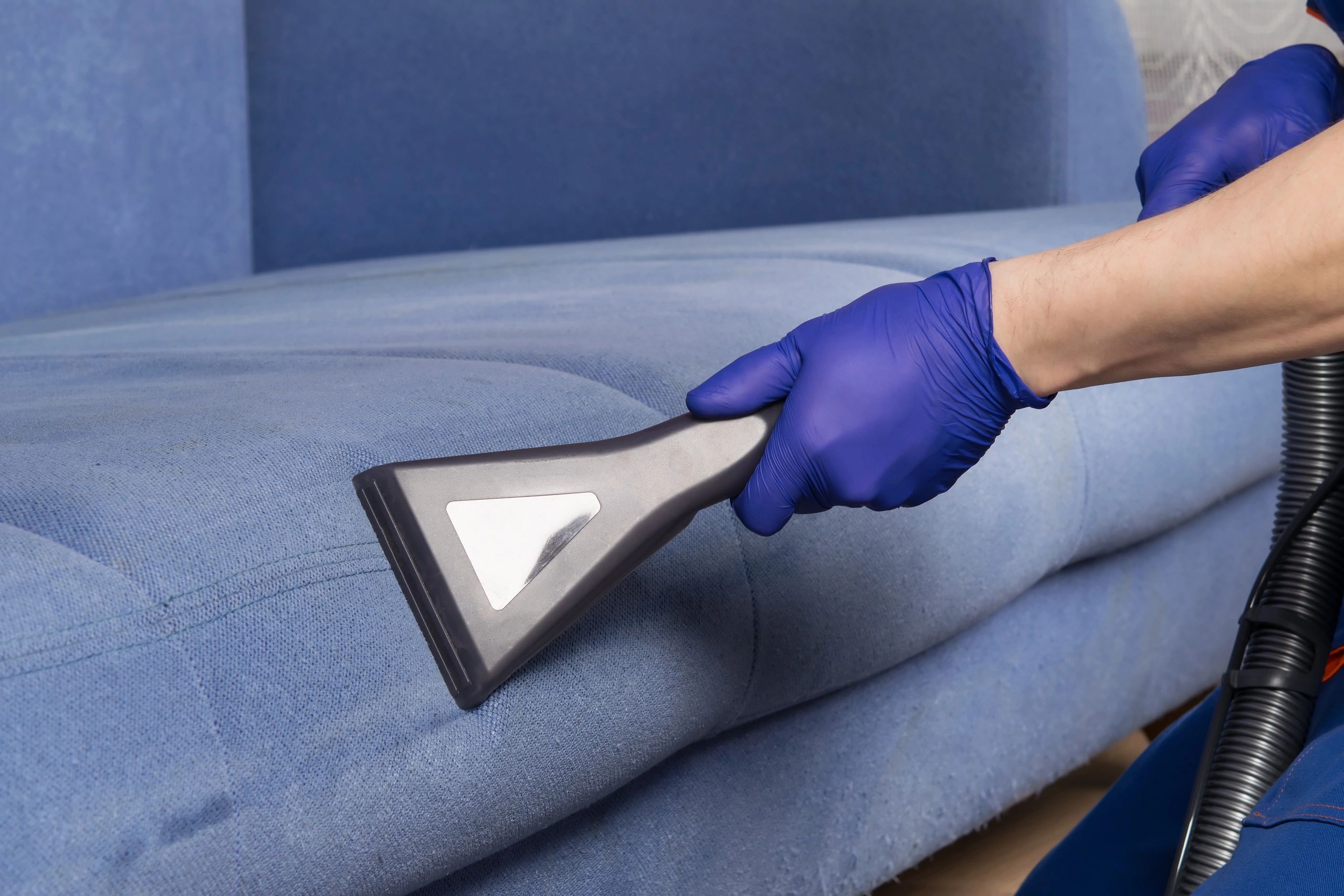 Person cleaning a blue couch with a vacuum cleaner and wearing blue gloves.