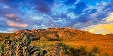 Sunset over a desert mountain range with cactus.
