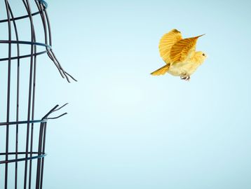 A yellow bird flying away from a broken cage against a clear sky.