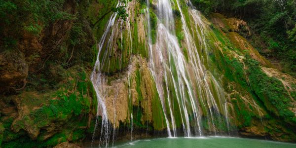 Multiple streams of water cascading down a moss-covered cliff.