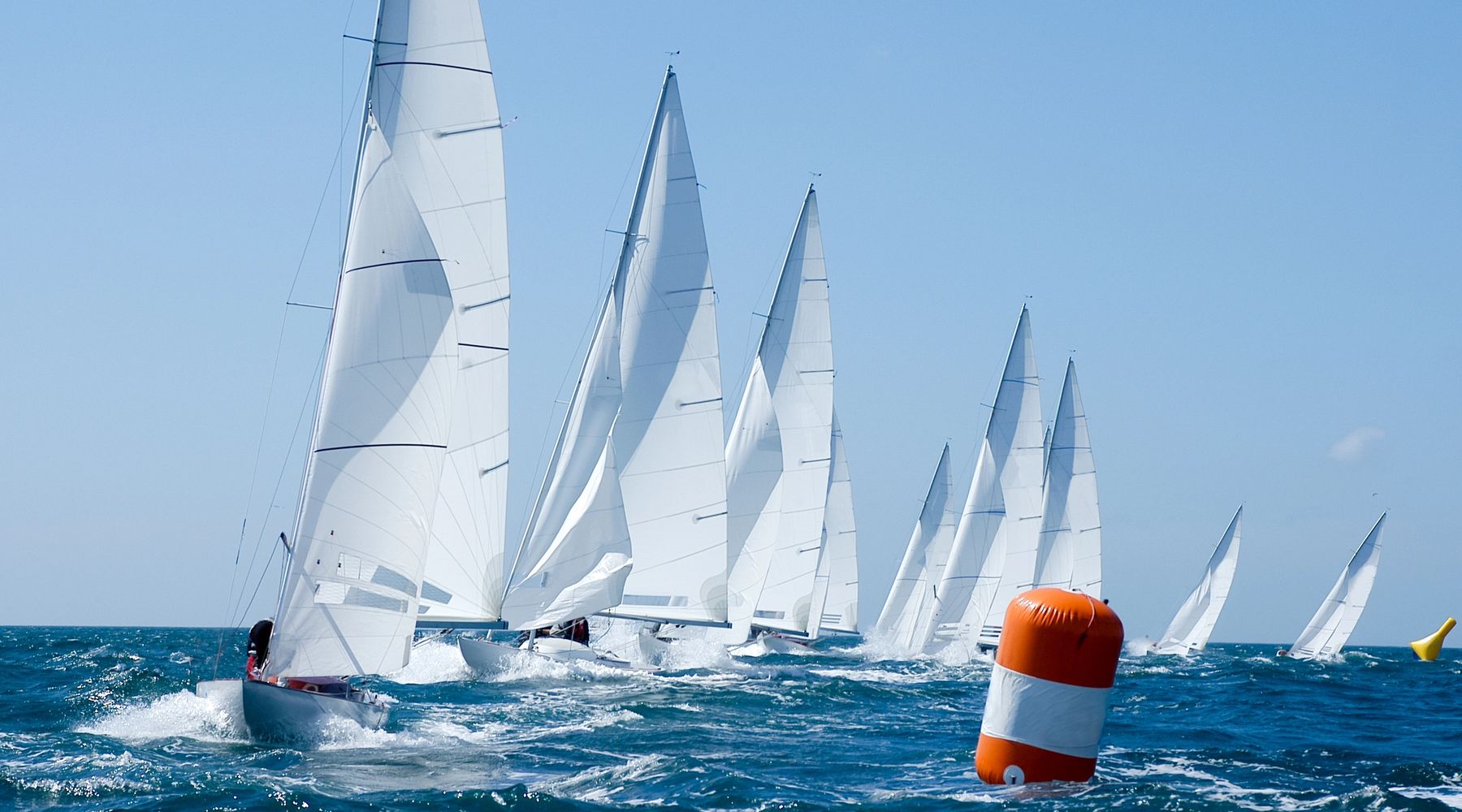 A fleet of sailboats racing on a sunny day with bright white sails.