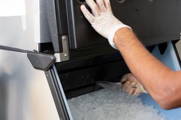 Person scooping ice from an ice machine wearing gloves.
