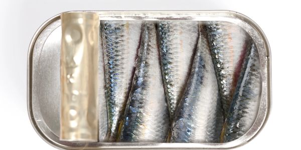 Open tin can filled with neatly packed sardines.