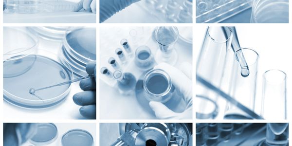 Various laboratory equipment and experiments in a scientific research setting.