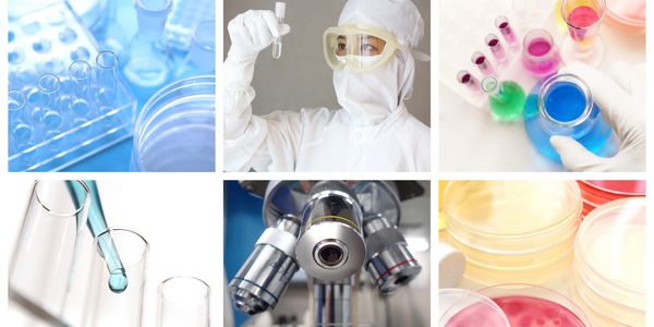 Akademik danışman: 
Prof.Dr. Erdal Ulukaya 
Ürün Geliştirme: Dr. Aziz Rodan Sarohan 
Bioenformatik:
