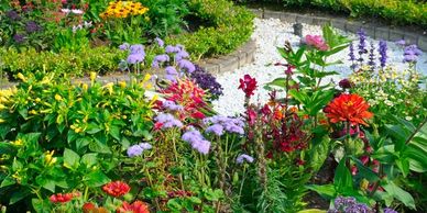 A vibrant garden with diverse colorful flowers and a white stone pathway.