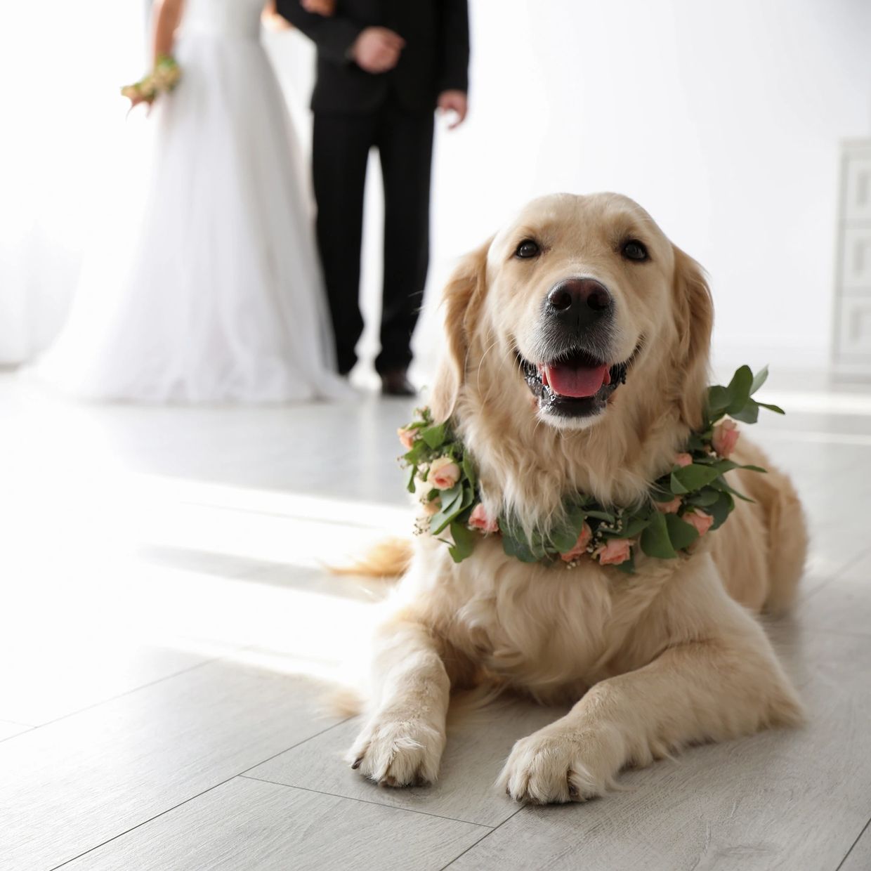 Golden retriever wearing a floral wreath at a wedding.