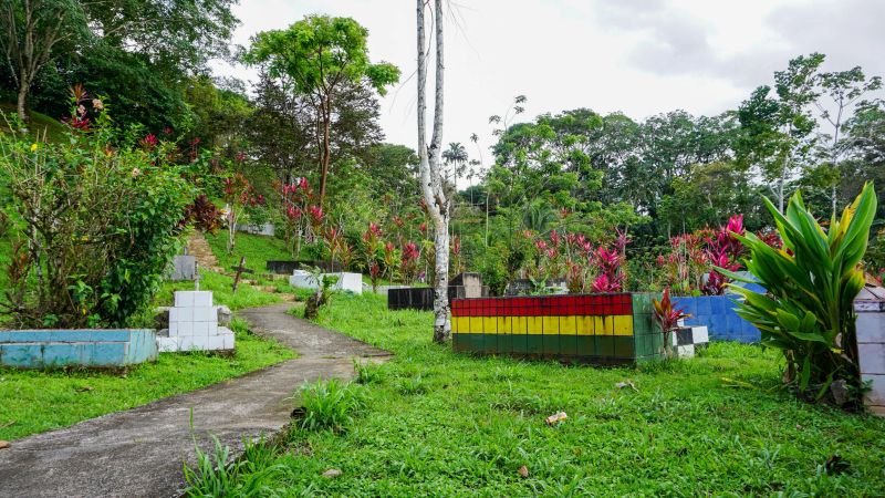 View of a local graveyard of a local community of a small coastal town on the Caribbean sea showing colourful tiles and lush jungle vegetation and greenery growing on the graves.