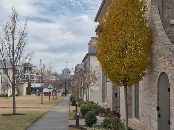A quiet sidewalk lined with trees and brick buildings on a cloudy day.