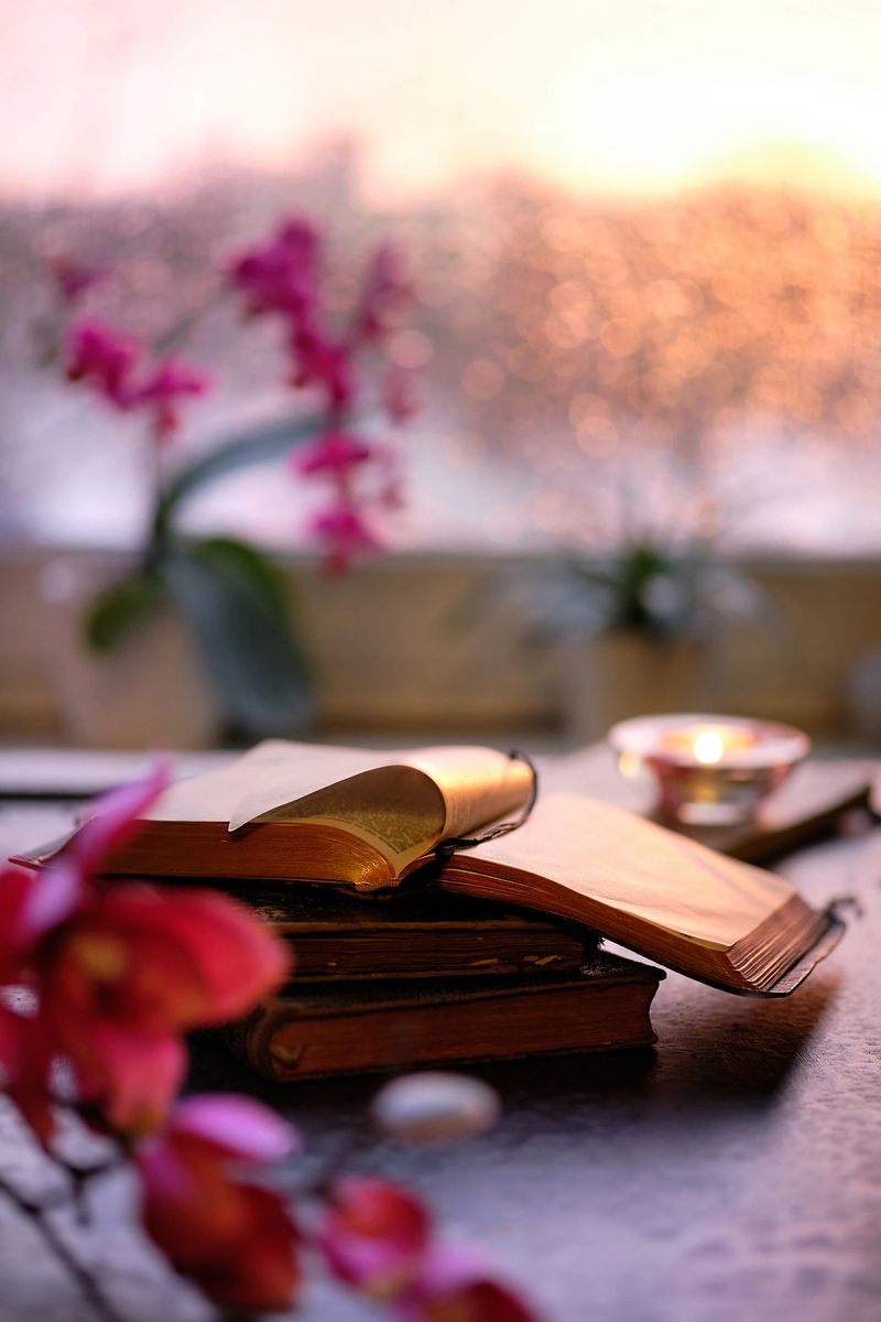 Wintertime with candle on stack of old books. Sunset window with orange glow, pink and fuchsia orchid and magnolia flowers. Aromatic tea light. Romantic indoor background, toned image.