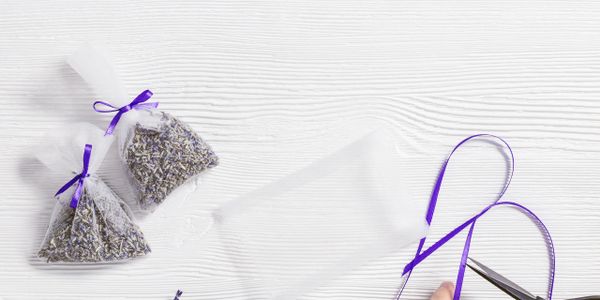 Making sachets with dried lavender and purple ribbon on a white wooden surface.