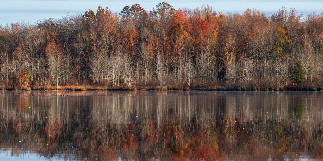 Autumn trees with colorful leaves reflected on a calm lake.