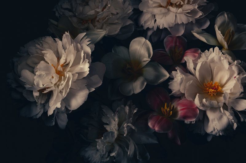Dark-toned photo of white peony and tulip bouquet